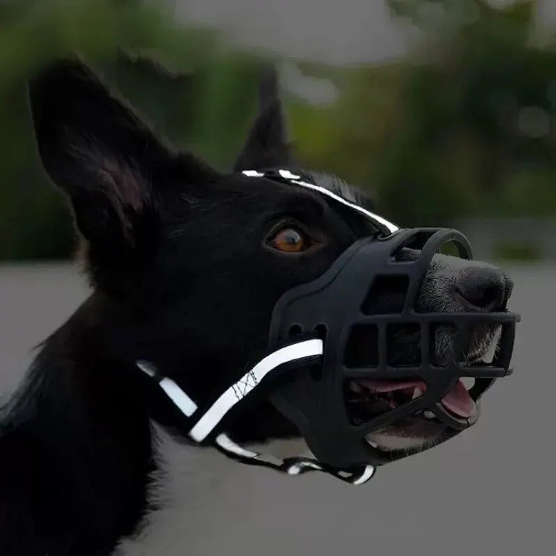 Anti - BarkDog™ - Chiensecure