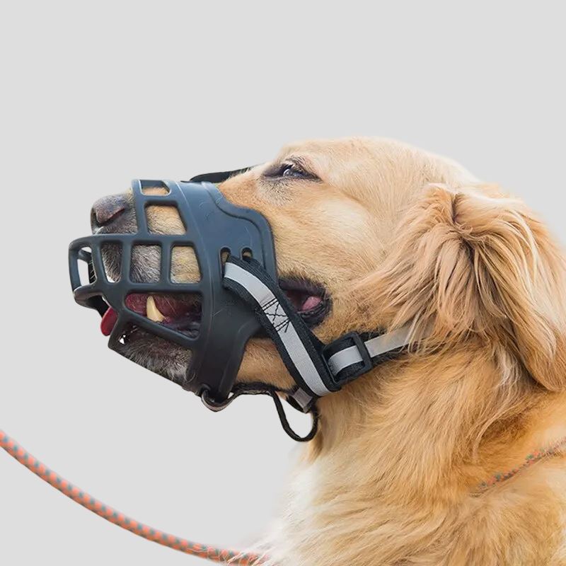 Anti - BarkDog™ - Chiensecure