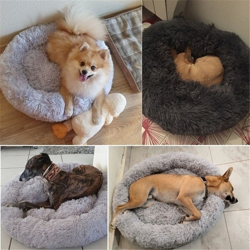 DoggyPouf™ - Coussin doux pour chien - Chiensecure