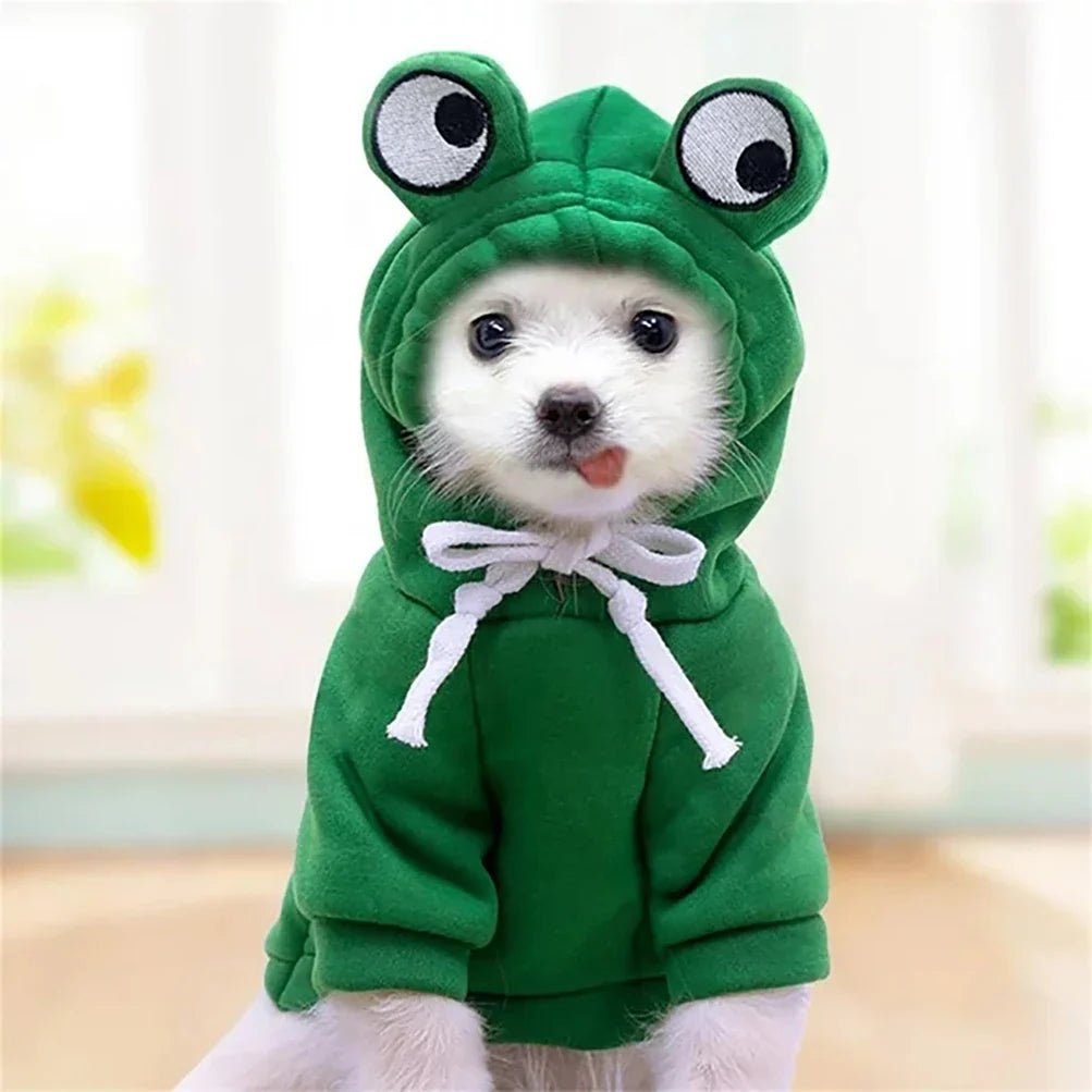 HoodieGrenouilleMignonPourChiens™ - Chiensecure