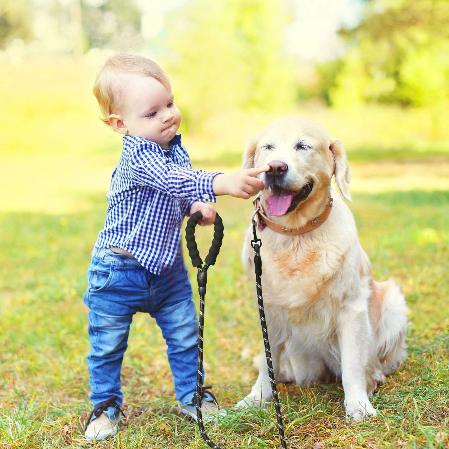 LaisseEduc™ - Corde en Nylon pour chien | Chien - Chiensecure