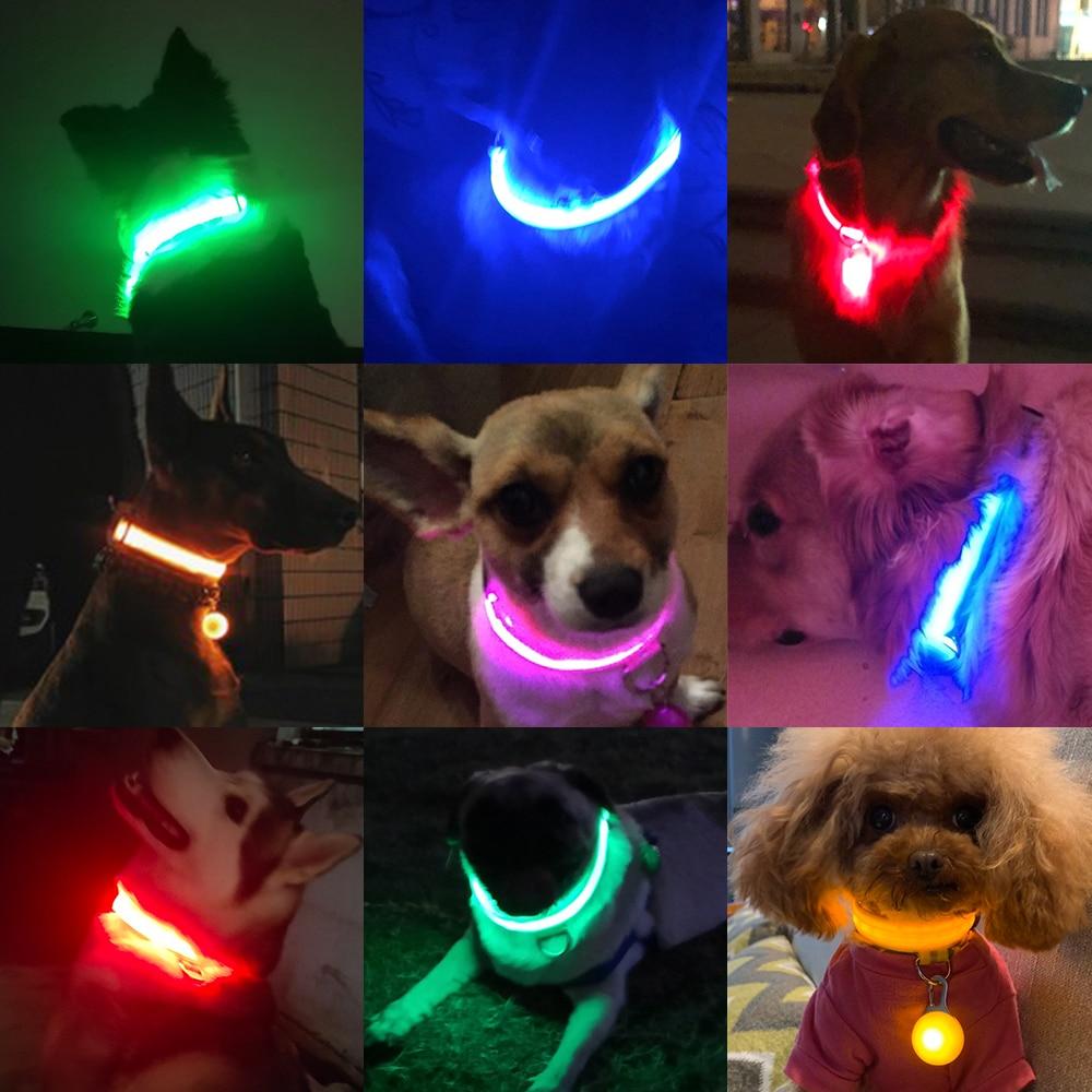 LedCollar™ - Collier à LED rechargeable pour chien - Chiensecure