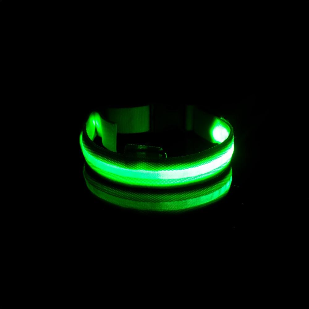 LedCollar™ - Collier à LED rechargeable pour chien - Chiensecure