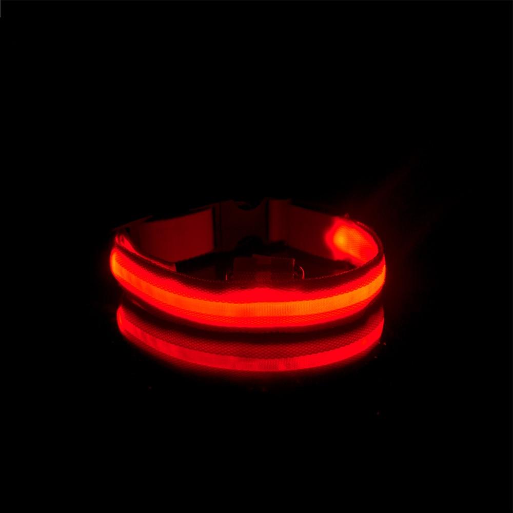 LedCollar™ - Collier à LED rechargeable pour chien - Chiensecure