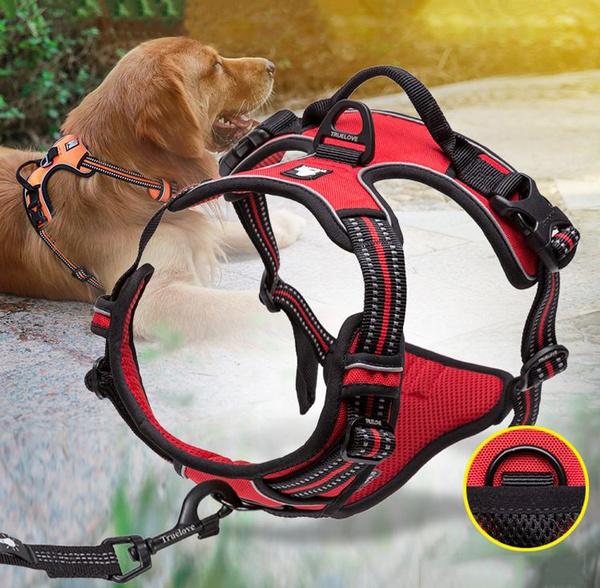 SafetyHarness™ - Harnais pour animal de compagnie - Chiensecure