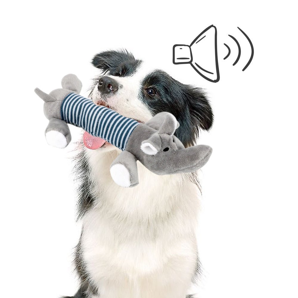 SoundToys™ - Jouet peluche pour chiens - Chiensecure