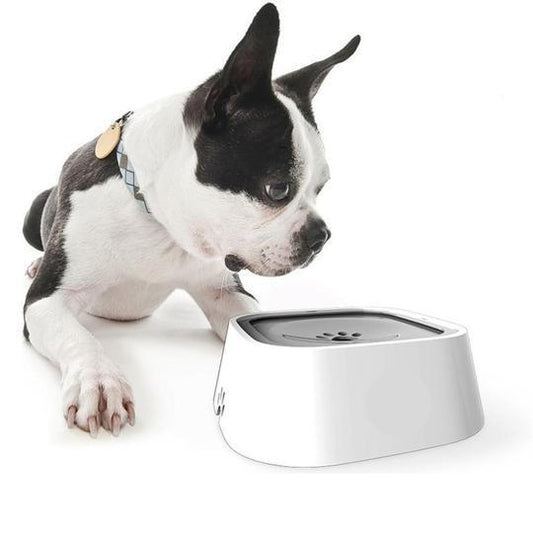 WaterBowl™ | Bol pour chien | CHIEN - Chiensecure